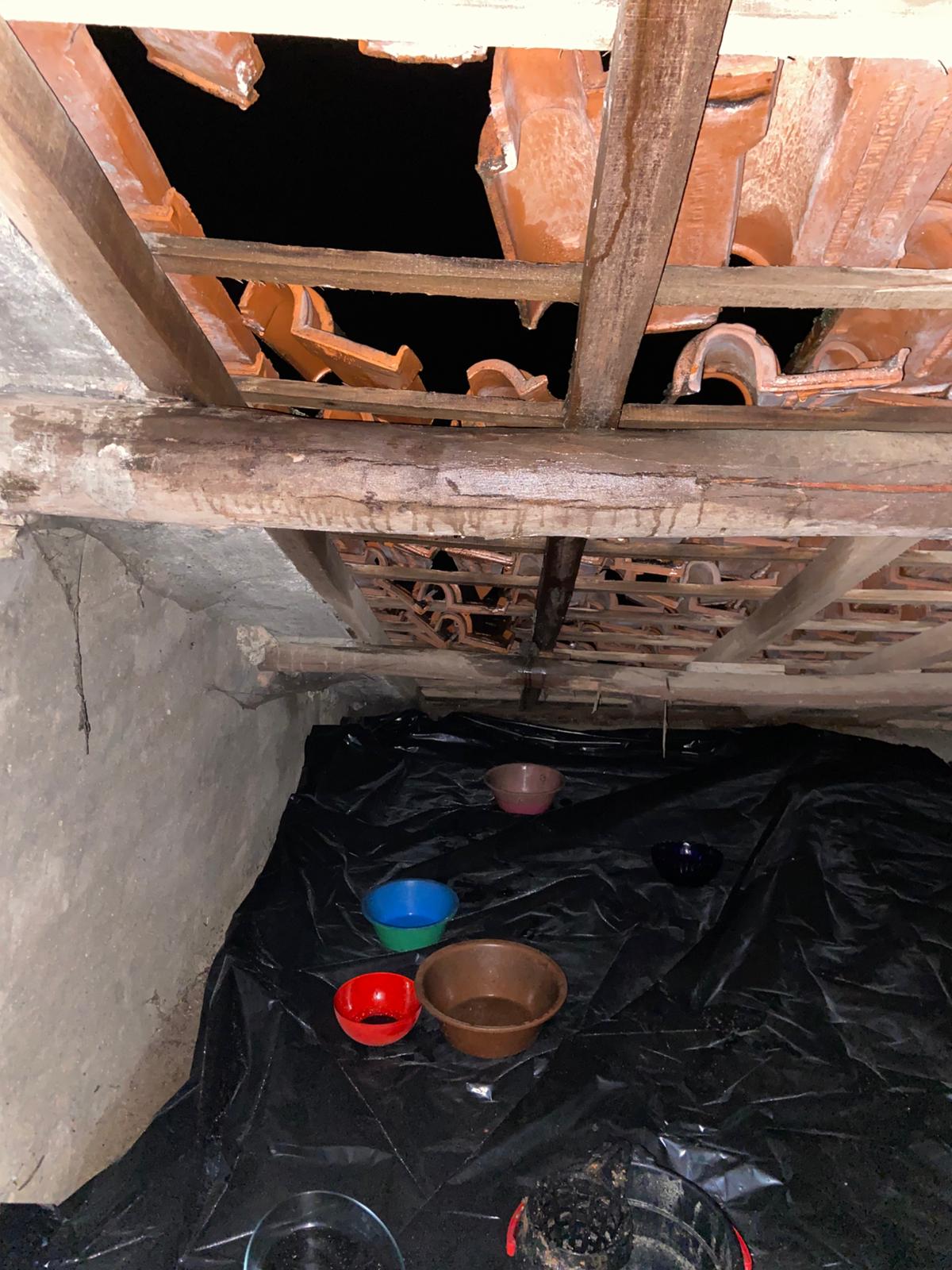 4R Telhados - Barreiro - Instalação de Porta para Animais de Estimação