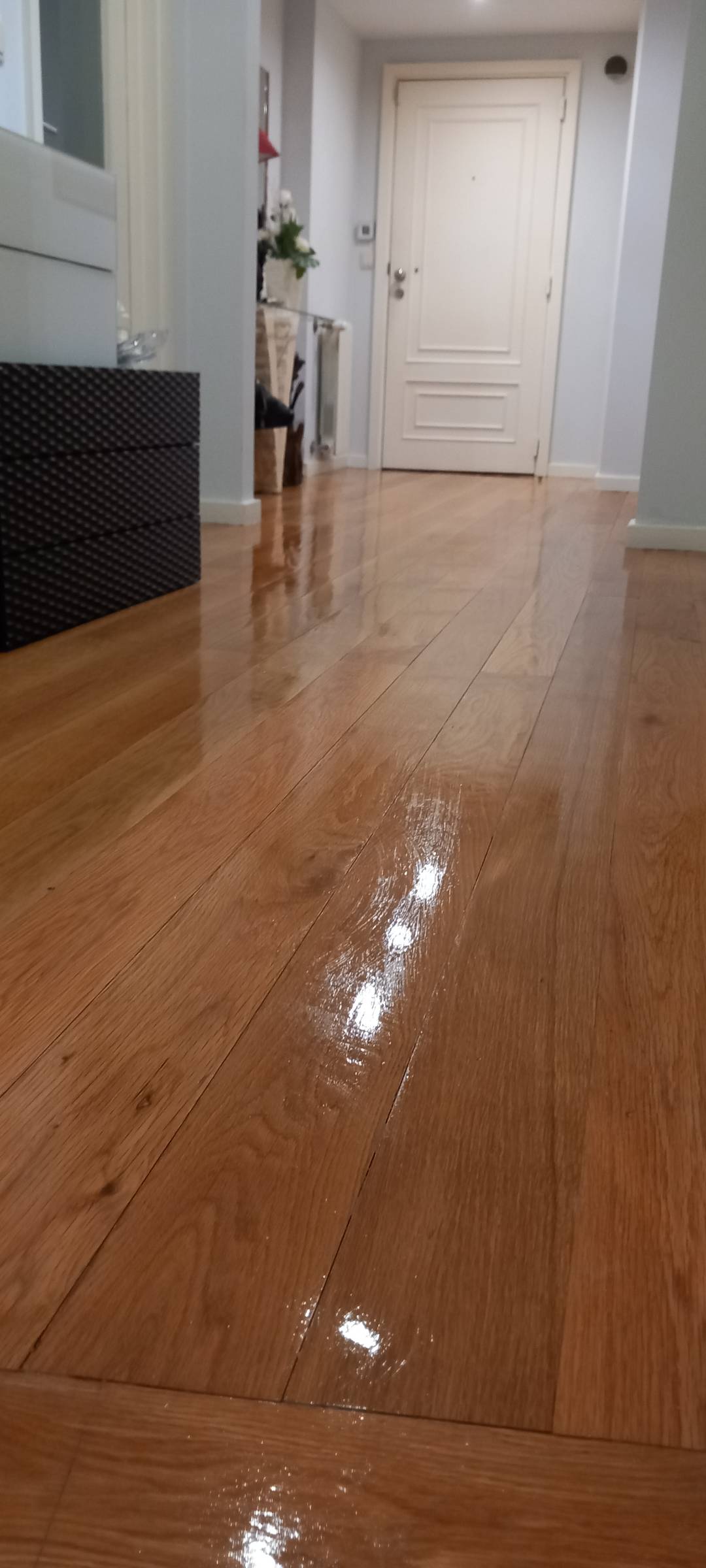 Puro Brilho - Ovar - Window Blinds Cleaning