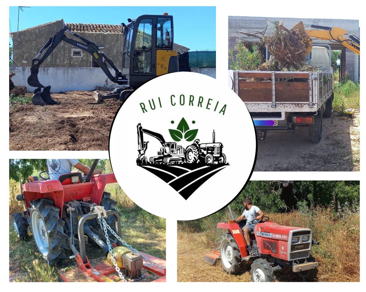 Rui Correia ENI - Oeiras - Remoção de Tronco de Árvore