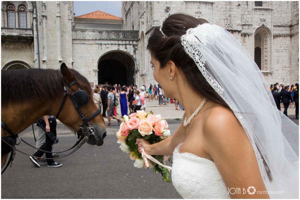 Extrimage - Lisboa - Pet Photography