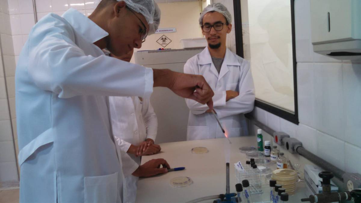 Bruno Rafael - Aveiro - Cours particuliers de biologie