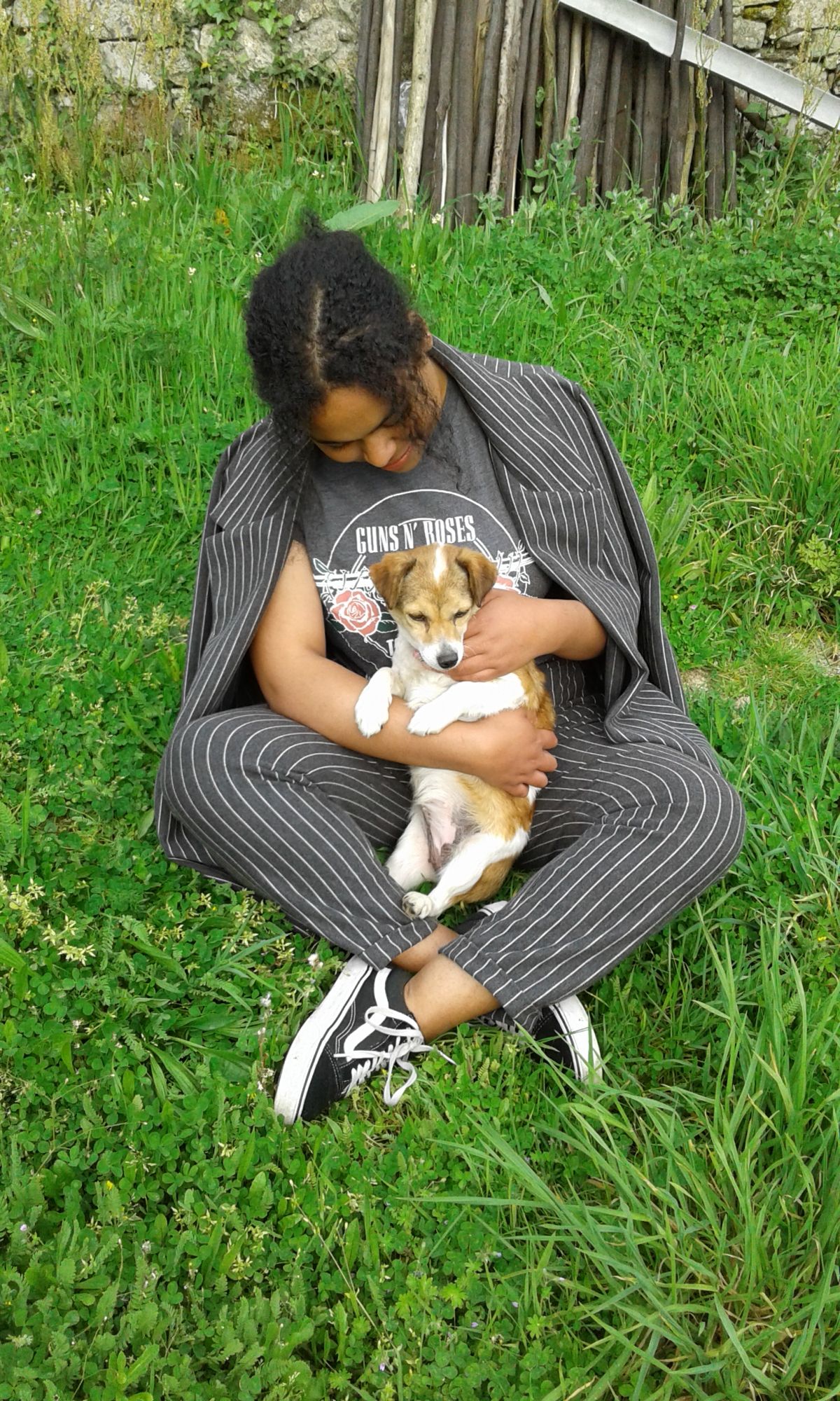Pet Sitting & Pet Care - Paredes de Coura - Creche para Cães