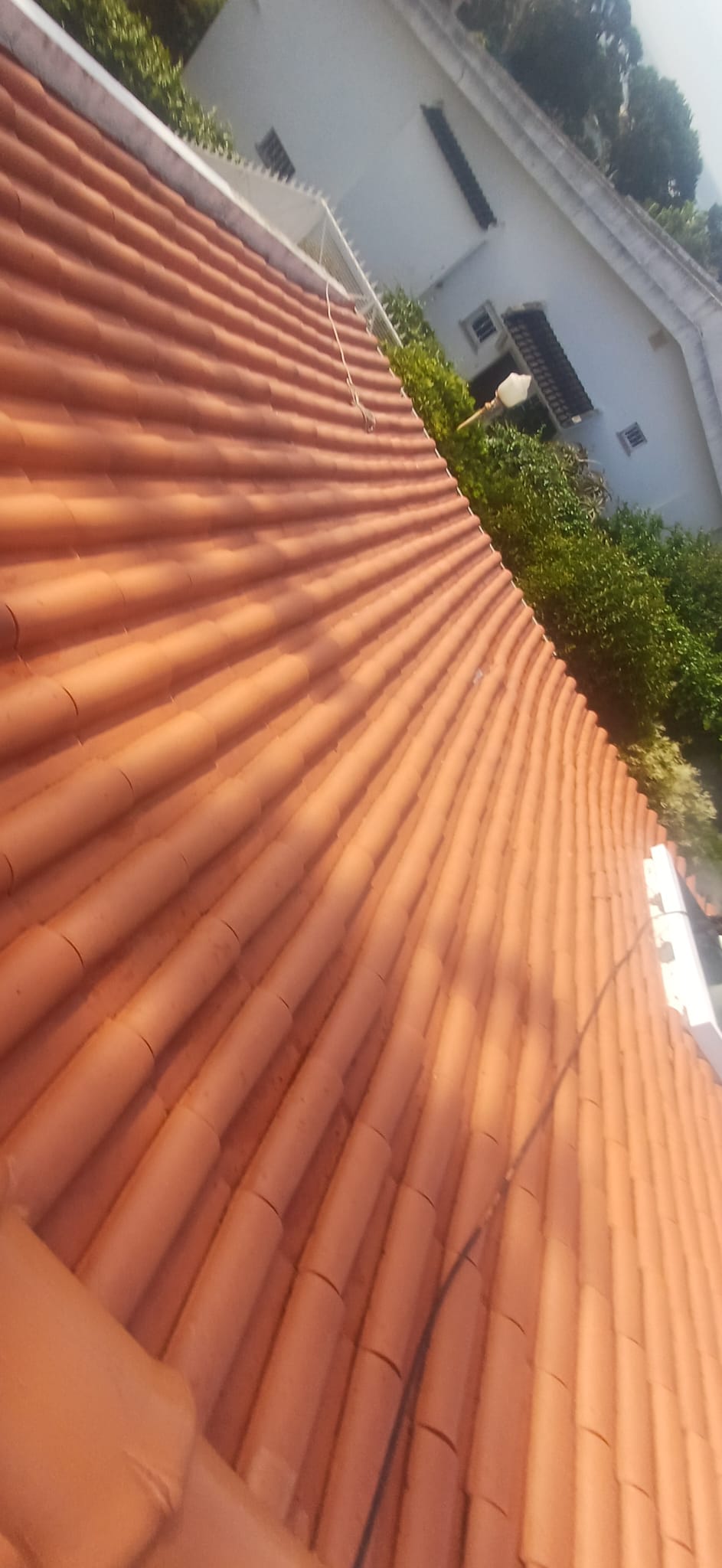 Claudio Ferreira - Odivelas - Pintura Exterior