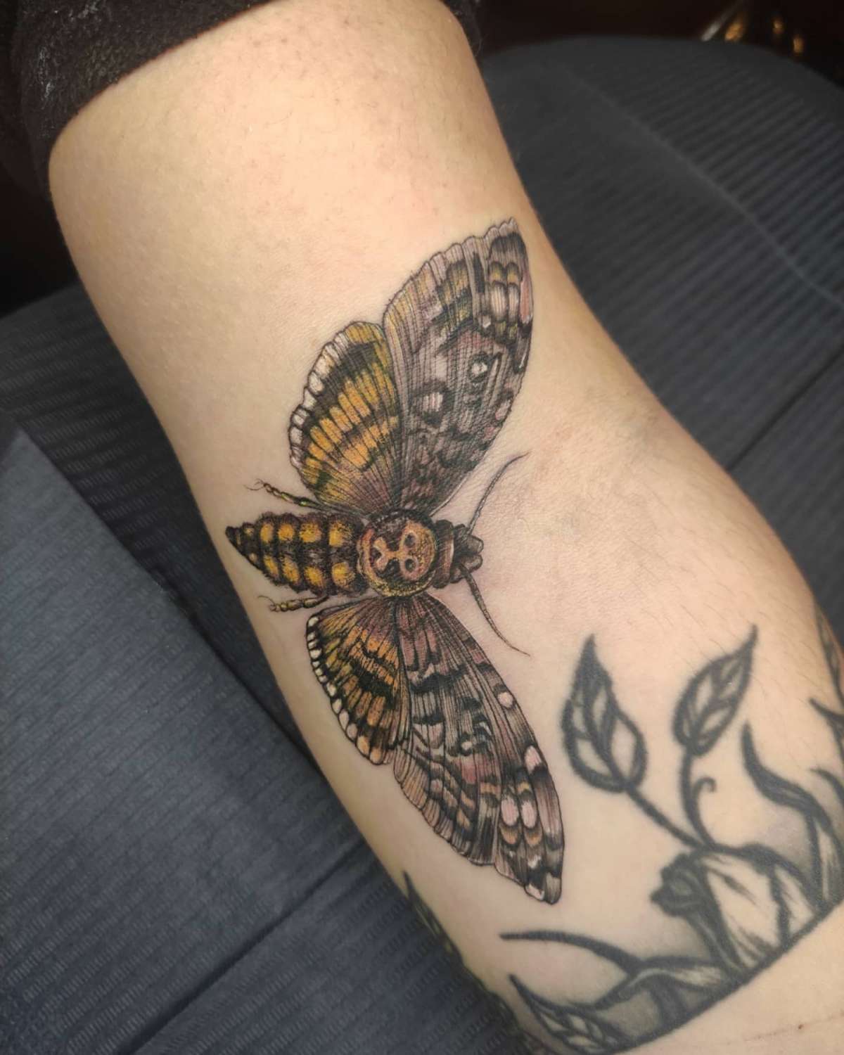 Shaded Red Tattoo - São João da Madeira - Tatuajes y piercings