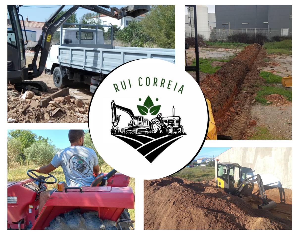 Rui Correia ENI - Oeiras - Poda e Manutenção de Árvores