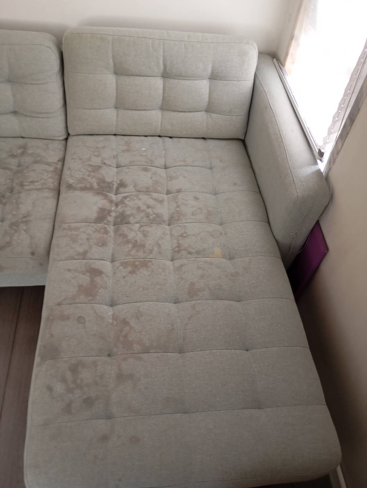 São Joaquim... padroeiro dos estofos - Oeiras - Limpeza de Garagem