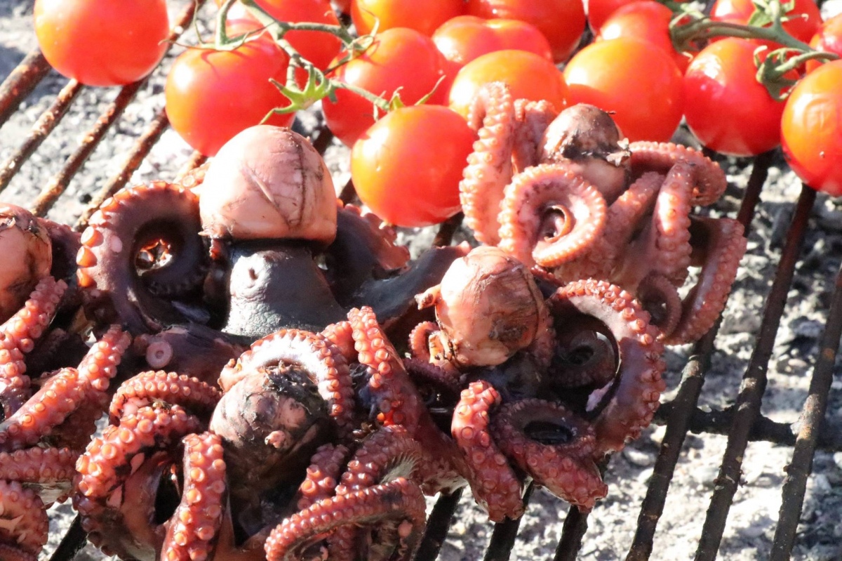 Nuno Luz Eventos & Catering - Palmela - Catering - Events and Parties