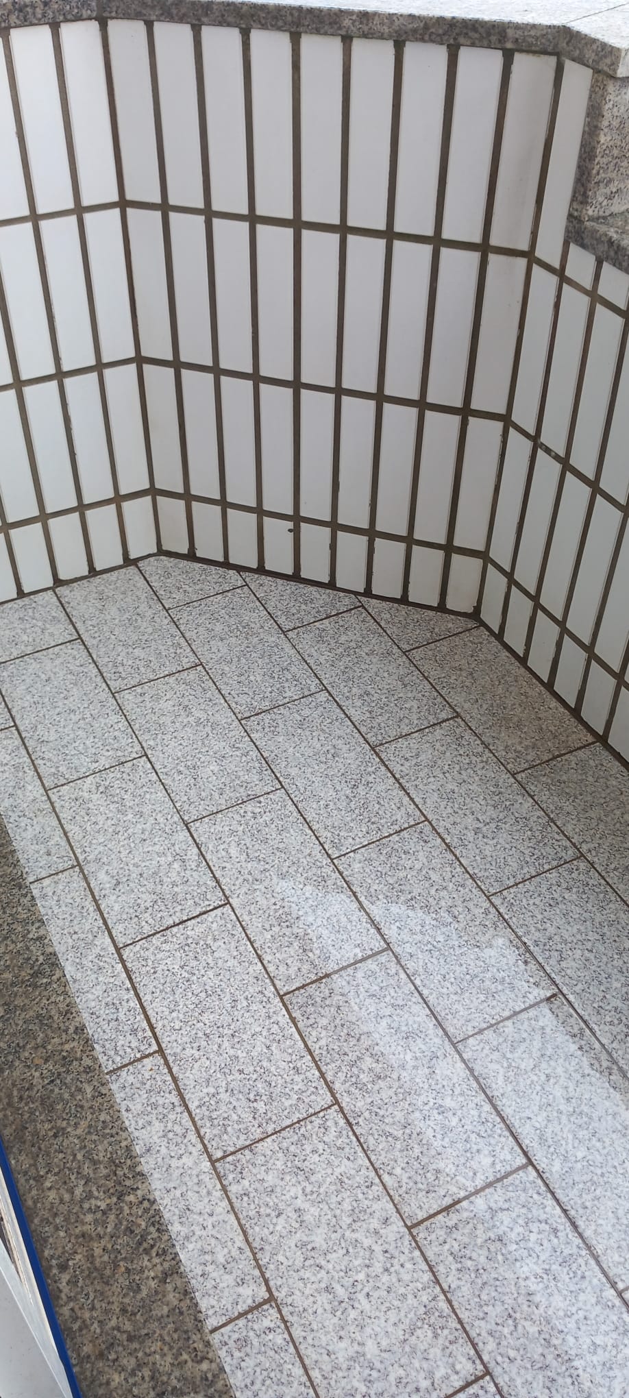 Puro Brilho - Ovar - Garage Cleaning