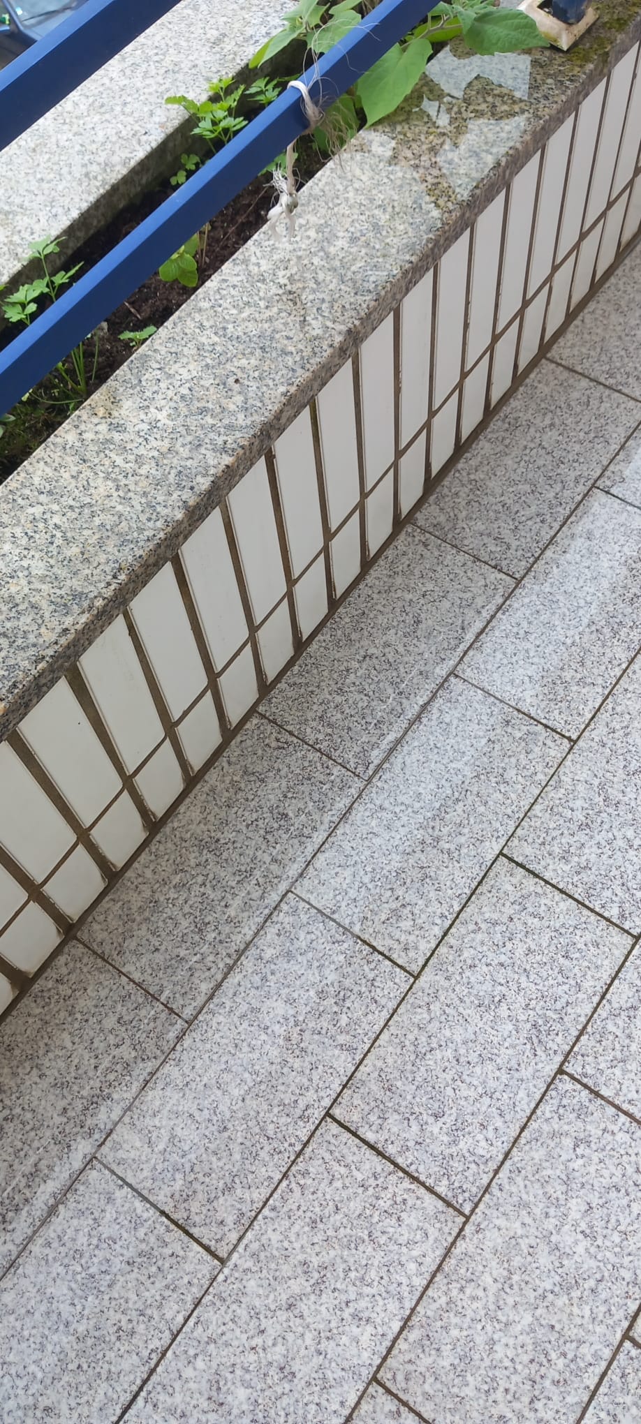 Puro Brilho - Ovar - Commercial Cleaning