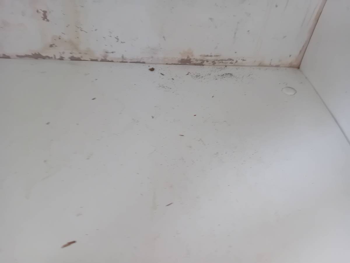 Flavia - Amadora - Limpeza de Espaço Comercial