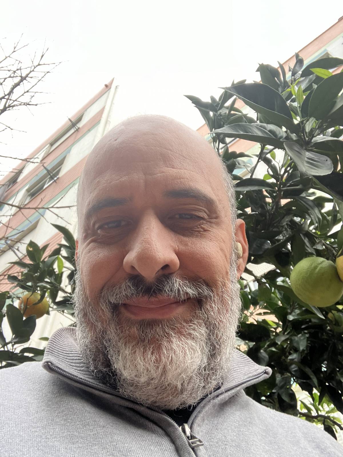 Pedro Gonçalves - Sintra - Algebra Tutoring