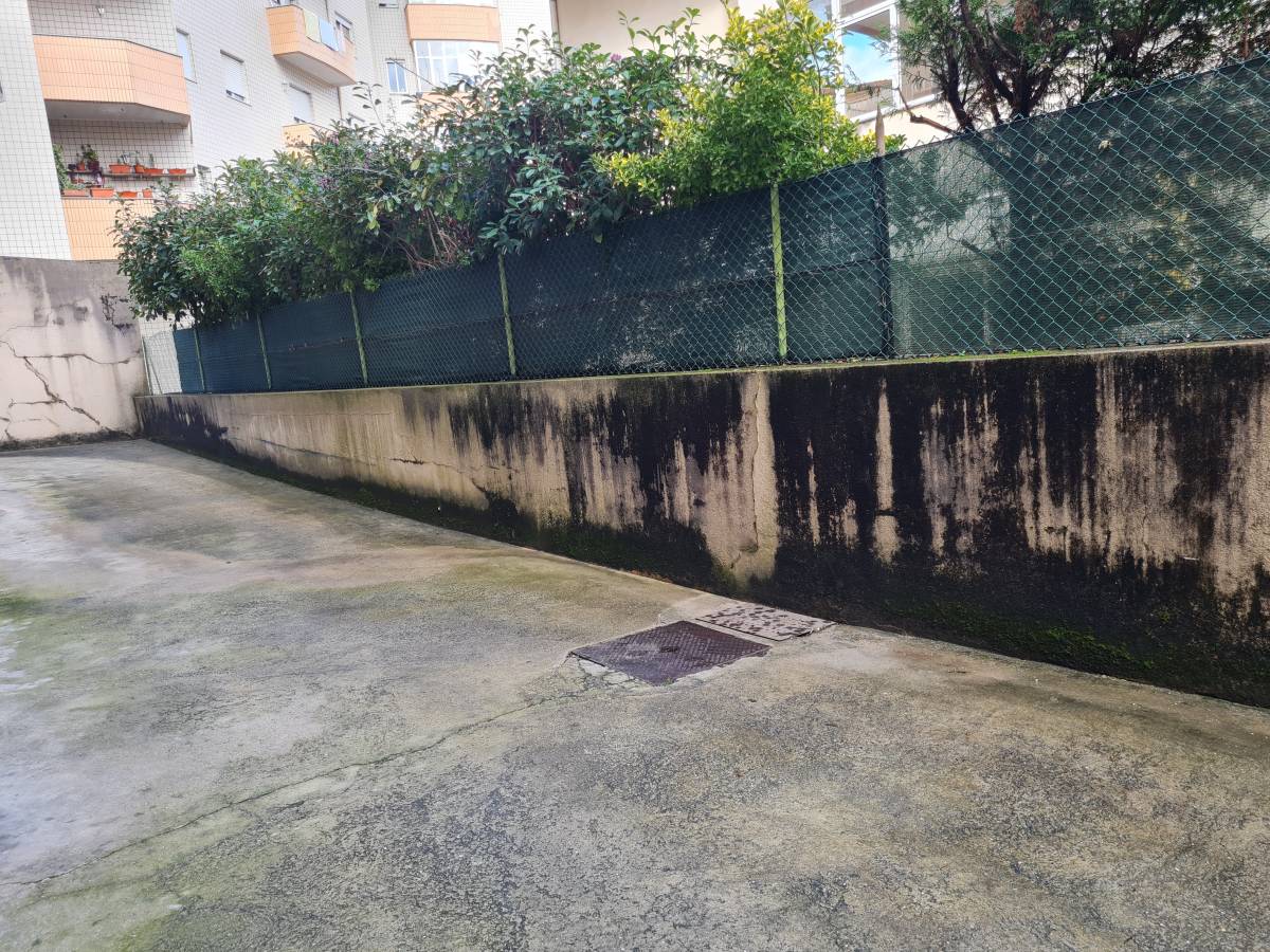 Puro Brilho - Ovar - Rug Cleaning