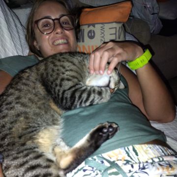 Joana Isabel Cavaco - Faro - Cat Sitting