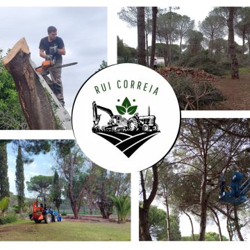 Rui Correia ENI - Oeiras - Remoção de Arbustos