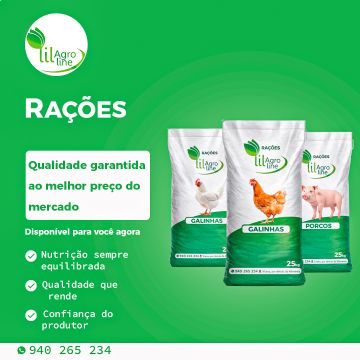 META  DESIGNER - Braga - Marketing