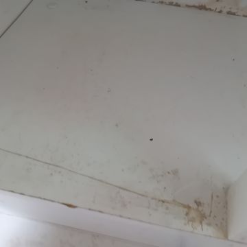 Flavia - Amadora - Limpeza da Casa (Recorrente)
