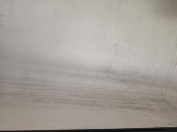 Pintura - Casa
