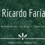 Ricardo Faria - Vila Verde - Poda e Manutenção de Árvores