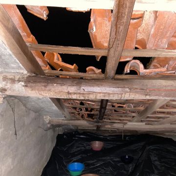 4R Telhados - Barreiro - Instalação de Porta para Animais de Estimação