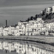 Extrimage - Lisboa - Pet Photography