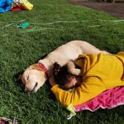 Bruna Câmara :) - Cascais - Creche para Cães