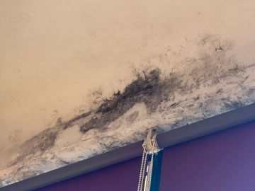 Pintor de Interiores