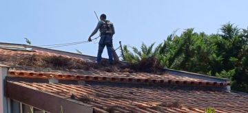 Claudio Ferreira - Odivelas - Remodelações