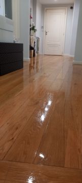 Puro Brilho - Ovar - Window Blinds Cleaning
