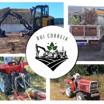 Rui Correia ENI - Oeiras - Remoção de Tronco de Árvore