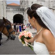 Extrimage - Lisboa - Pet Photography