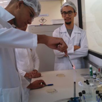 Bruno Rafael - Aveiro - Cours particuliers de biologie