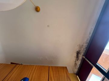 Pintura de Interiores