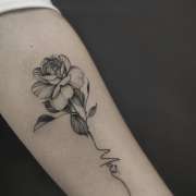 Shaded Red Tattoo - São João da Madeira - Ilustraciones