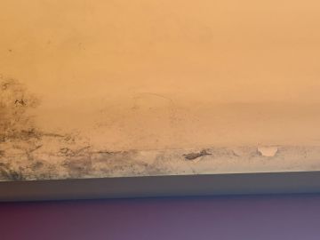 Pintor de Interiores