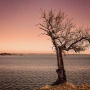 Ricardo Carrão - Évora - Fotografia Desportiva