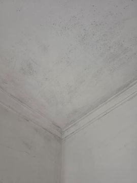 Pintor de Casas