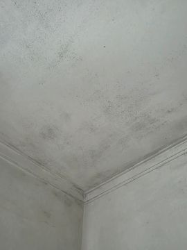 Pintura de Casas - Pintura