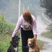 Mônica Alves - Vila Verde - Baths and Grooming for Animals