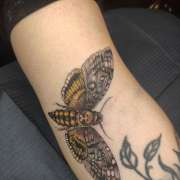 Shaded Red Tattoo - São João da Madeira - Tatuajes y piercings