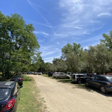 MegAveiro - Eventos e atividades Outdoor - Estarreja - Funcionários e Auxiliares