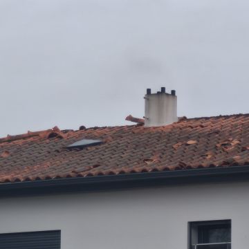 4R Telhados - Barreiro - Instalação de Cerca para Cães