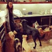 Happytails 🐕 - Tavira - Hotel para Cães