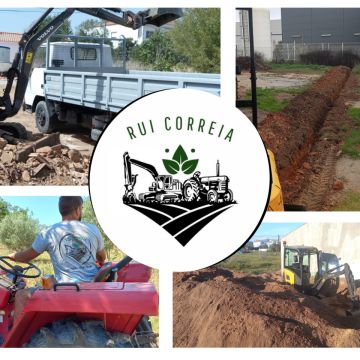 Rui Correia ENI - Oeiras - Poda e Manutenção de Árvores