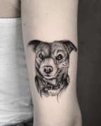 Shaded Red Tattoo - São João da Madeira - Tatuajes y piercings