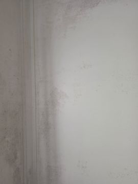 Pintor de Casas - Casa