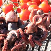 Nuno Luz Eventos & Catering - Palmela - Catering - Events and Parties