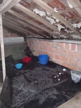 Roof Installation or Replacement