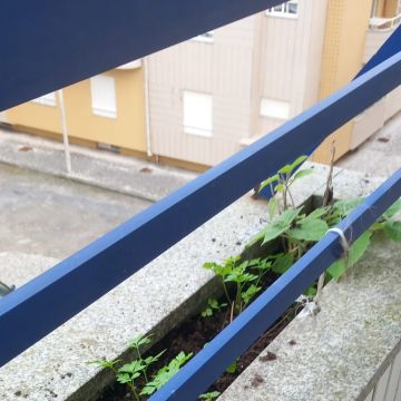 Puro Brilho - Ovar - Property Cleanup