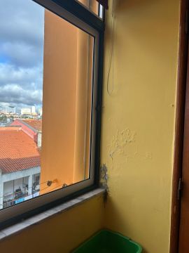 Pintura - Casa
