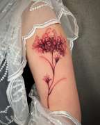 Shaded Red Tattoo - São João da Madeira - Tatuajes y piercings
